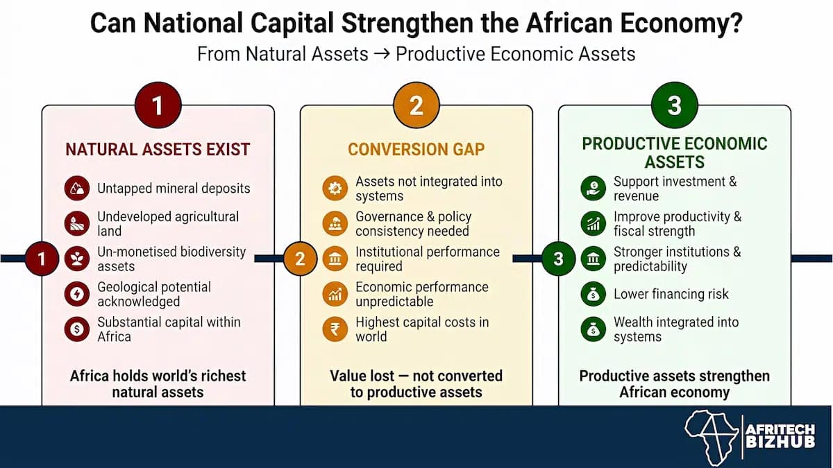 Africa Natural Capital Paradox: Rich Resources, Costly Borrowing