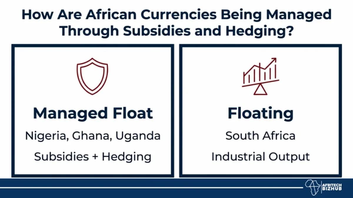 Africa Currency Subsidies