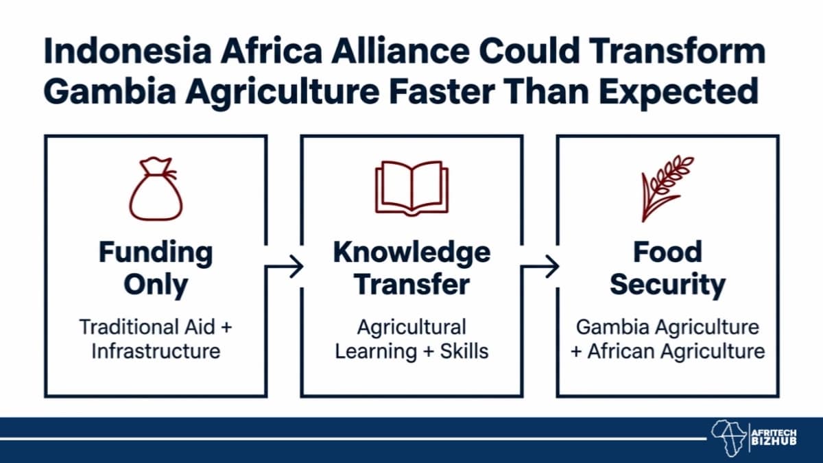 Indonesia Africa Alliance Could Transform Gambia's Agriculture Faster Than Expected
