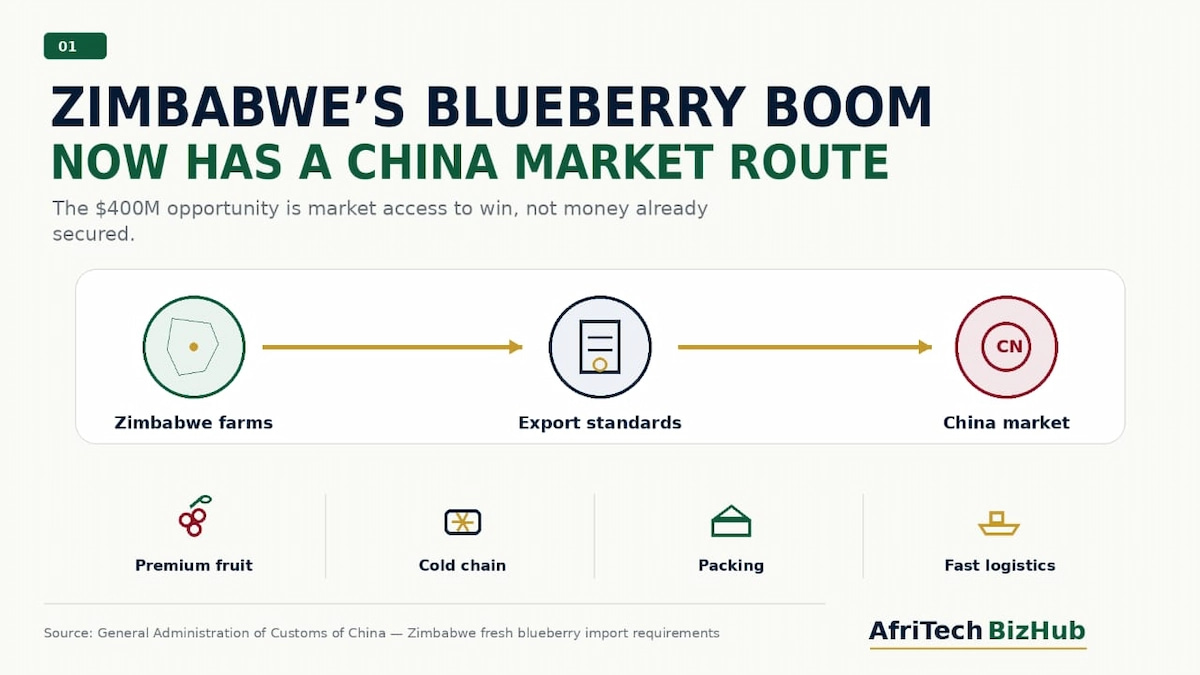 Zimbabwe’s Blueberry Boom: How China Market Could Unlock $400M Opportunity